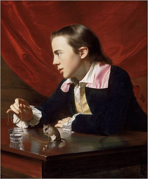 两个缪斯的家庭艺术-夏洛特·梅森绘画研究-约翰·辛格尔顿·科普利，《一个男孩和一只鼯鼠》，1765年