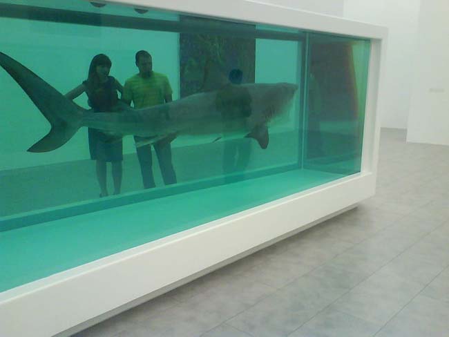艺术策展人对孩子- 10的鲨鱼鲨鱼周在艺术——达明安•赫斯特,死亡的身体不可能心里有人的生活,1991年,Credit-Agent001照片