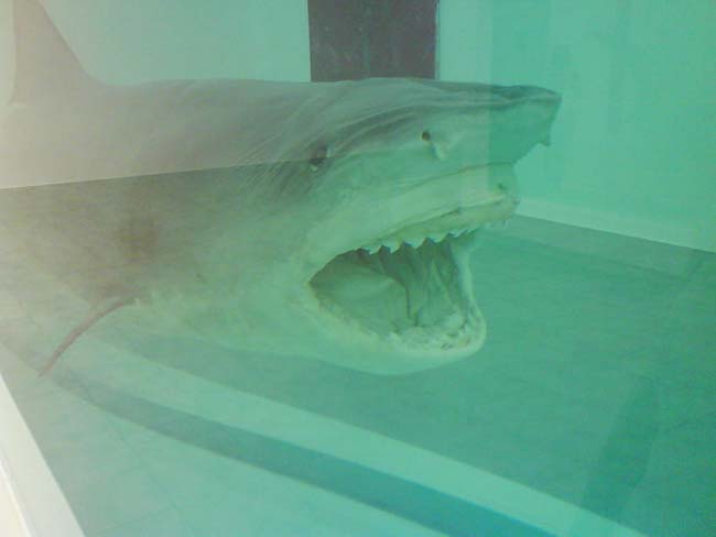 儿童艺术策展人——鲨鱼周艺术中的10条了不起的鲨鱼——达米恩·赫斯特，《活着的人心中死亡的可能性》(细节)，1991年，图片来源:agent001