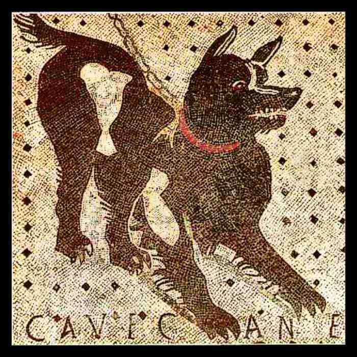 狗在意大利艺术——庞贝,当心的狗